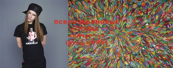 PSILOCYBIN Бугульма