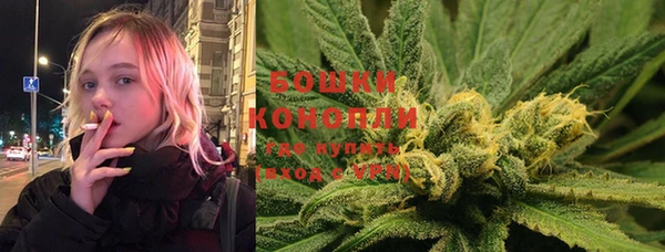 PSILOCYBIN Бугульма