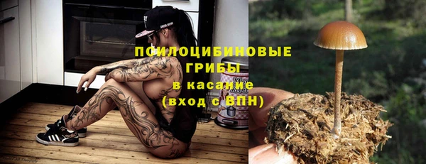 молекула духа Бронницы
